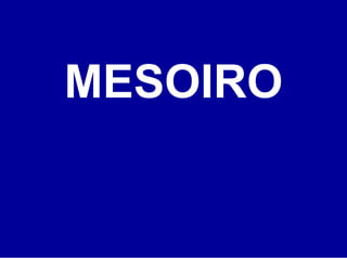 MESOIRO
 