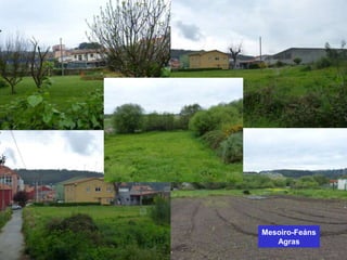 Mesoiro-Feáns
Agras
 