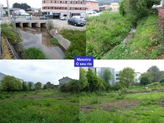 Mesoiro
O seu río
 