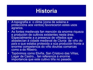 Historia
• A topografía e o clima (zona de solaina e
proteccións aos ventos) favoreceron estes usos
agrarios.
• As fontes medievais fan mención da enorme riqueza
e produción de cultivos existentes nesta área.
Especialmente a a presenza de viñedos que
abastecían á cidade medieval de Clunia de viño do
país e que estaba protexida a súa produción fronte a
enorme competencia do viño doutras comarcas
como a do Ribeiro.
• Topónimos como Elviña, San Cristovo das Viñas,
Lagar de Castro... fan referencia á enorme
importancia que este cultivo tiña no pasado.
 