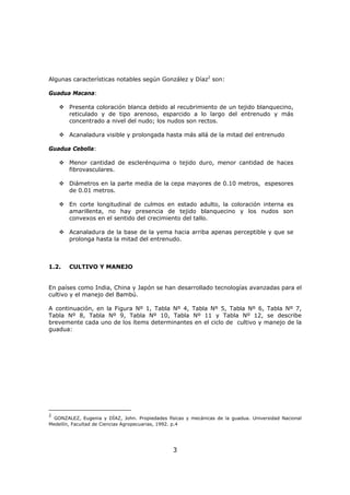 3
Algunas características notables según González y Díaz2
son:
Guadua Macana:
Presenta coloración blanca debido al recubrimiento de un tejido blanquecino,
reticulado y de tipo arenoso, esparcido a lo largo del entrenudo y más
concentrado a nivel del nudo; los nudos son rectos.
Acanaladura visible y prolongada hasta más allá de la mitad del entrenudo
Guadua Cebolla:
Menor cantidad de esclerénquima o tejido duro, menor cantidad de haces
fibrovasculares.
Diámetros en la parte media de la cepa mayores de 0.10 metros, espesores
de 0.01 metros.
En corte longitudinal de culmos en estado adulto, la coloración interna es
amarillenta, no hay presencia de tejido blanquecino y los nudos son
convexos en el sentido del crecimiento del tallo.
Acanaladura de la base de la yema hacia arriba apenas perceptible y que se
prolonga hasta la mitad del entrenudo.
1.2. CULTIVO Y MANEJO
En países como India, China y Japón se han desarrollado tecnologías avanzadas para el
cultivo y el manejo del Bambú.
A continuación, en la Figura Nº 1, Tabla Nº 4, Tabla Nº 5, Tabla Nº 6, Tabla Nº 7,
Tabla Nº 8, Tabla Nº 9, Tabla Nº 10, Tabla Nº 11 y Tabla Nº 12, se describe
brevemente cada uno de los ítems determinantes en el ciclo de cultivo y manejo de la
guadua:
2
GONZALEZ, Eugenia y DÍAZ, John. Propiedades físicas y mecánicas de la guadua. Universidad Nacional
Medellín, Facultad de Ciencias Agropecuarias, 1992. p.4
 