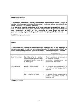 7
APROVECHAMIENTO
La explotación sistemática y regular, incrementa la producción de culmos y facilita la
cosecha, mientras que la explotación excesiva y continua, reduce la producción de
culmos y conduce a la extinción del cultivo.
En el caso de la guadua Angustifolia se ha comprobado que en un período de 5 a 7
años, la especie alcanza su pleno desarrollo con producción de guaduas catalogadas
como comerciales. A partir de este momento se debe seguir un plan de
aprovechamiento y mejoramiento igual al recomendado para guaduales naturales.
TABLA Nº 8. Aprovechamiento.
CORTE
La época ideal para cosechar el bambú es durante el período seco ya que la emisión de
brotes en esta época es baja y el contenido de humedad de los culmos también, lo que
facilita el transporte y reduce la aparición de plagas y enfermedades post – cosecha.
Observaciones
Según Creencias Se debe cortar la guadua
angustifolia Kunth en cuarto
menguante en las horas de
la madrugada
Mayor resistencia al ataque de
los insectos Xilófagos.
Aumentan notablemente sus
propiedades mecánicas.
Hasta 2 años de edad. La guadua angustifolia Kunth es
más vulnerable al ataque de los
insectos.
Edad de Corte
De 3 a 6 años de edad. Es la edad óptima para utilizar la
guadua angustifolia Kunth en
construcción.
TABLA Nº 9. Corte.
 
