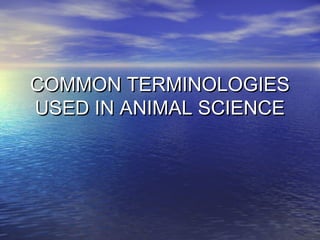 COMMON TERMINOLOGIESCOMMON TERMINOLOGIES
USED IN ANIMAL SCIENCEUSED IN ANIMAL SCIENCE
 