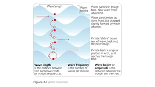 Sub Aerial Processes. Examples CAMBRIDGE GEOGRAPHY A2 REVISION - COASTAL ENVIRONMENTS: 8.1 WAVES ...