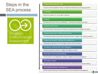 Steps in the
SEA process
 