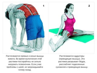 Пилатес. Анатомия стретчинга | PPT