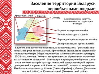 Ещё большее потепление произошло в эпоху неолита. Произошёл зна-
чительный рост листовых лесов. Происходило становление современно-
го животного мира. Общая численность населения составила примерно
27-36 тыс . человек. Неолит - это время начала образования значитель-
ных этнических общностей . Этническую и культурную общность соста-
вили племена четырёх культур: неманской, днепро-донецкой, верхне-
днепровской и нарвенской. Известно около 600 стоянок этого времени.
Наиболее исследованы: д. Камень (Пинский район), д. Осовец (Бешенко-
вичский район), п. Красносельский (Волковысский район).
Заселение территории Беларуси
первобытными людьми
Археологические культуры
эпохи неолита на территории
Беларуси
Нарвенская группа племён
Неманская нгруппа племён
Днепро-донецкая группа племён
Верхнеднепровская группа племён
Осовец
Красносельский Камень
 