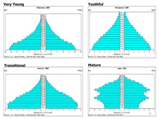 23
Very Young Youthful
Transitional Mature
 