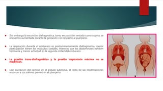  Sin embargo la excursión diafragmática, tanto en posición sentada como supina, se
encuentra aumentada durante la gestación con respecto al puerperio.
 La respiración durante el embarazo es predominantemente diafragmática, menor
participación tienen los músculos costales, mientras que los abdominales exhiben
hipotonía y menor actividad en la segunda mitad del embarazo.
 La presión trans-diafragmática y la presión inspiratoria máxima no se
modifican.
 Con excepción del cambio en el ángulo subcostal, el resto de las modificaciones
retornan a sus valores previos en el puerperio.
 