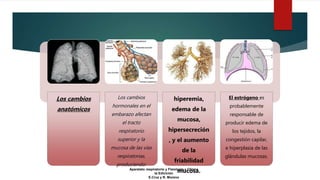Los cambios
anatómicos
Los cambios
hormonales en el
embarazo afectan
el tracto
respiratorio
superior y la
mucosa de las vías
respiratorias,
produciendo:
hiperemia,
edema de la
mucosa,
hipersecreción
, y el aumento
de la
friabilidad
mucosa.
El estrógeno es
probablemente
responsable de
producir edema de
los tejidos, la
congestión capilar,
e hiperplasia de las
glándulas mucosas.
Aparatato respiratorio y Fisiologia y Clinica
ta Edicición
E.Cruz y R. Moreno
 