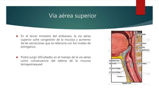 Vía aérea superior
 En el tercer trimestre del embarazo, la vía aérea
superior sufre congestión de la mucosa y aumento
de las secreciones que se relaciona con los niveles de
estrógenos.
 Podrá surgir dificultades en el manejo de la vía aérea
como consecuencia del edema de la mucosa
laríngeotraqueal.
 