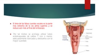  El área de las falsas cuerdas vocales es la parte
mas estrecha de la vía aérea superior, y se
reduce aún más al final del embarazo.
 Por tal motivo se aconseja utilizar tubos
endotraqueales de calibre 7 mm o menor,
adecuadamente lubricados y deslizarlos con la
mayor suavidad.
 