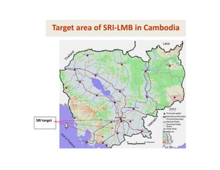 Target area of SRI-LMB in Cambodia
SRI target
 