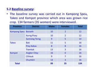 5.2 Baseline survey:
• The baseline survey was carried out in Kampong Speu,
Takeo and Kampot province which area was grown rice
crop. 134 farmers (35 women) were interviewed.
Province District Males Females Total
Kampong Speu Borseth 10 2 12
Korng Pisey 10 2 12
Samrong Torng 9 5 14
Takeo Bati 11 5 16
Prey Kabas 8 8 16
Tramkak 13 3 16
Kampot Angkor Chey 16 0 16
Chhouk 9 7 16
Chumkiri 13 3 16
Total 99 35 134
 