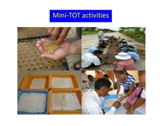 Mini-TOT activities
 