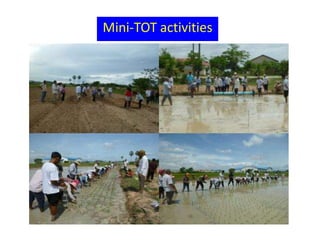 Mini-TOT activities
 