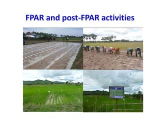 FPAR and post-FPAR activities
 