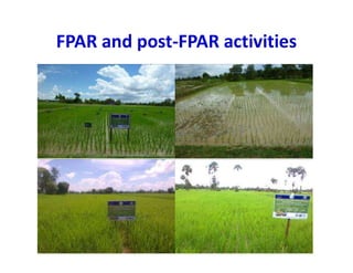FPAR and post-FPAR activities
 