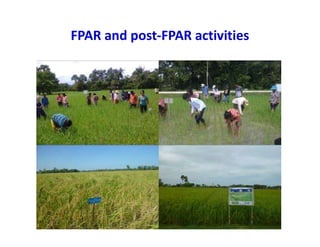 FPAR and post-FPAR activities
 