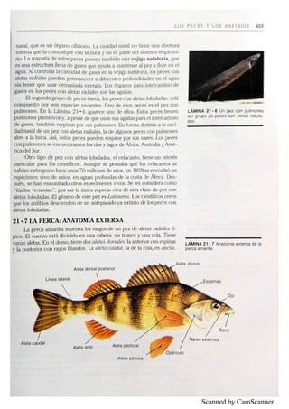 Scanned by CamScanner
 