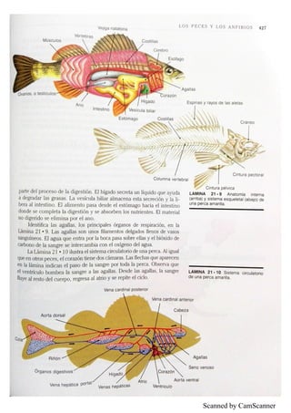 Scanned by CamScanner
 