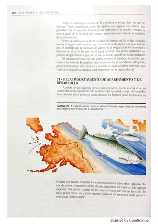 Scanned by CamScanner
 