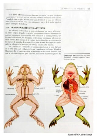 Scanned by CamScanner
 