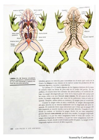 Scanned by CamScanner
 