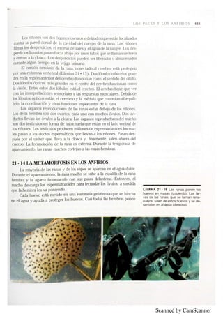 Scanned by CamScanner
 