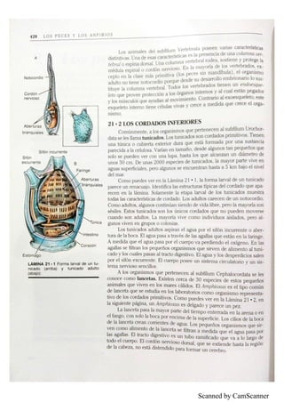 Scanned by CamScanner
 