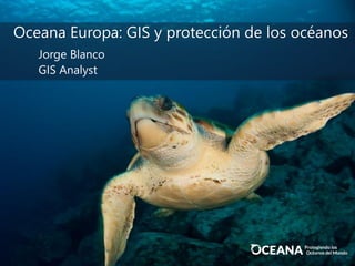 Oceana Europa: GIS y protección de los océanos
Jorge Blanco
GIS Analyst
 