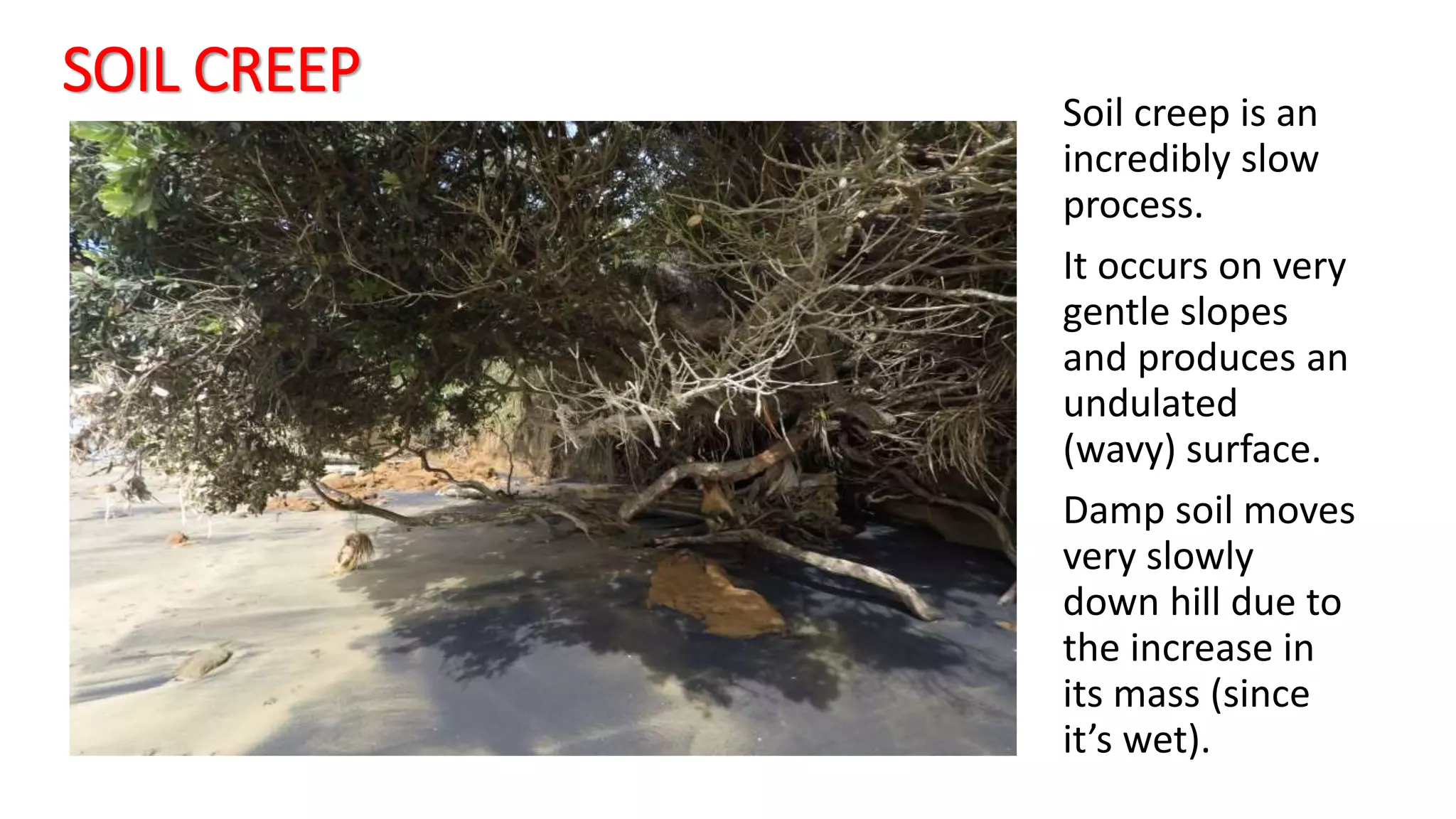 SOIL CREEP
Soil creep is an
incredibly slow
process.
It occurs on very
gentle slopes
and produces an
undulated
(wavy) surface.
Damp soil moves
very slowly
down hill due to
the increase in
its mass (since
it’s wet).
 