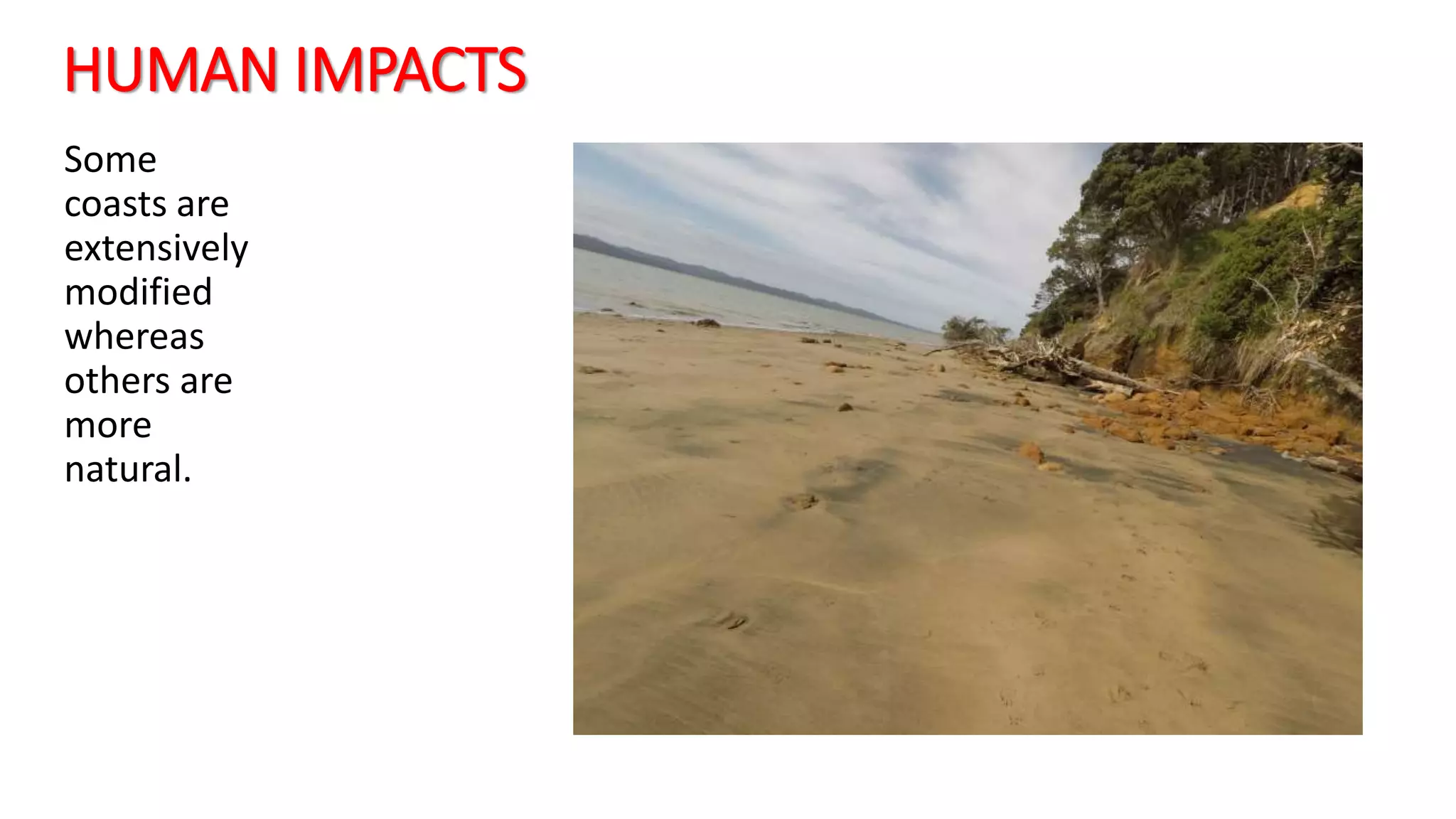 HUMAN IMPACTS
Some
coasts are
extensively
modified
whereas
others are
more
natural.
 