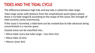 Tidal Difference A2 CAMBRIDGE GEOGRAPHY: COASTAL ENVIRONMENTS - WAVE, MARINE AND SUB ...