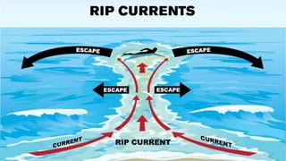 Sub Aerial Processes. Examples A2 CAMBRIDGE GEOGRAPHY: COASTAL ENVIRONMENTS - WAVE, MARINE AND SUB ...