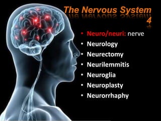 Neur Definition Terminology of Nervous System | PPTX