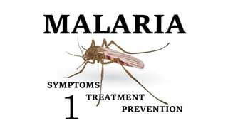 MALARIA
PREVENTION
TREATMENT
SYMPTOMS
1
 