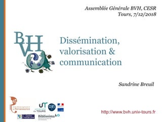 Dissémination,
valorisation &
communication
http://www.bvh.univ-tours.fr
Assemblée Générale BVH, CESR
Tours, 7/12/2018
Sandrine Breuil
 