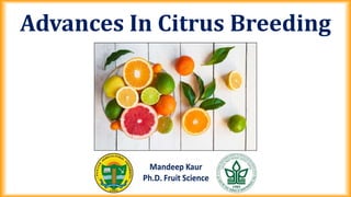 Advances In Citrus Breeding
 