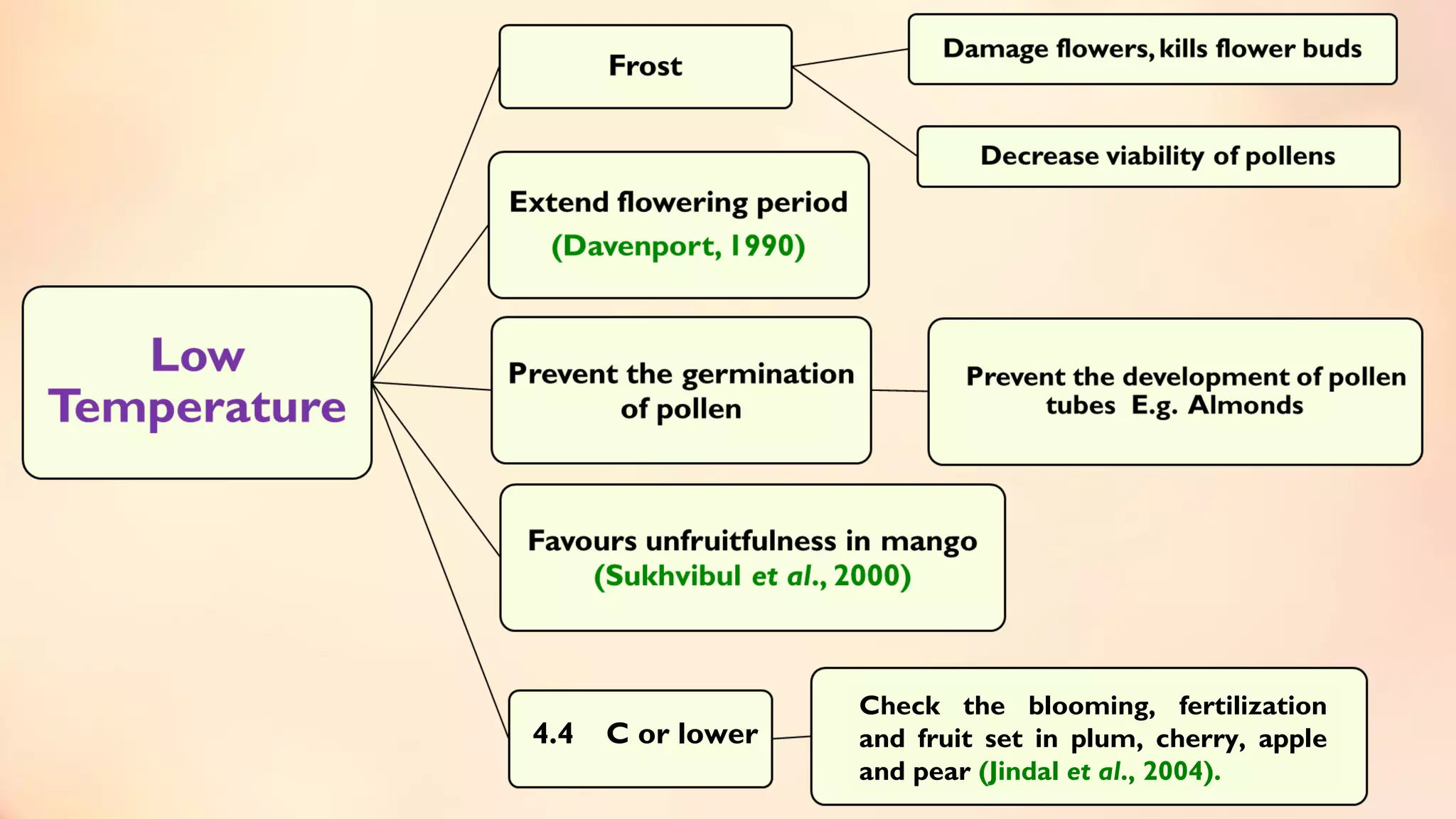 Fruit Development Presentation Fruit set, growth & developmental stages of various fruits | PPT
