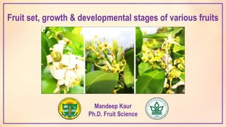 Fruit set, growth & developmental stages of various fruits
Mandeep Kaur
Ph.D. Fruit Science
 