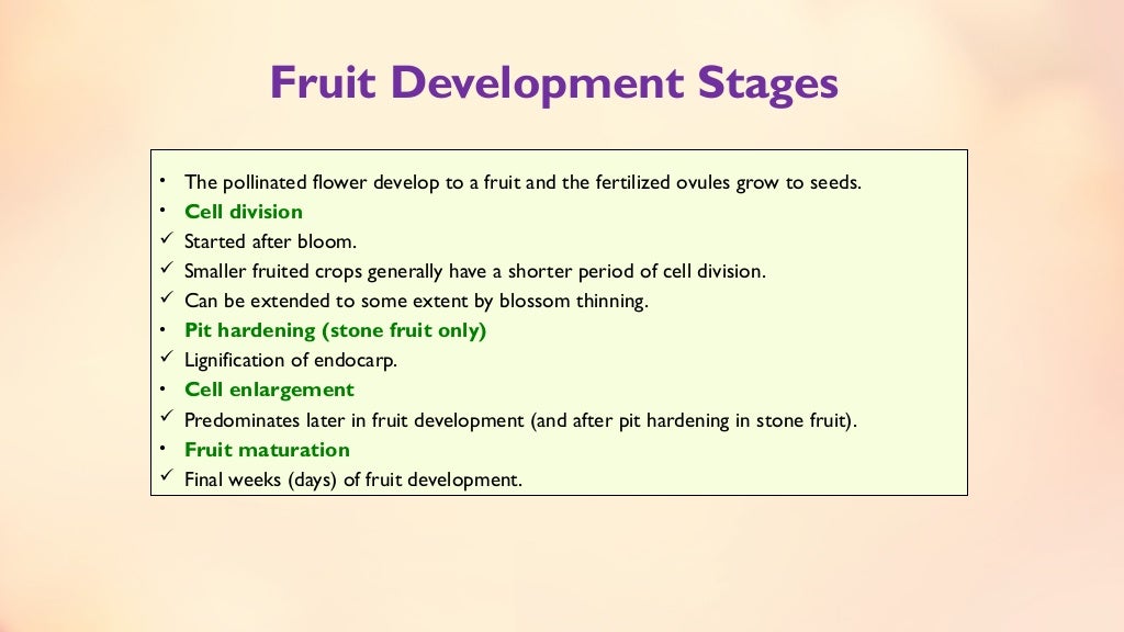 Fruit set, growth & developmental stages of various fruits