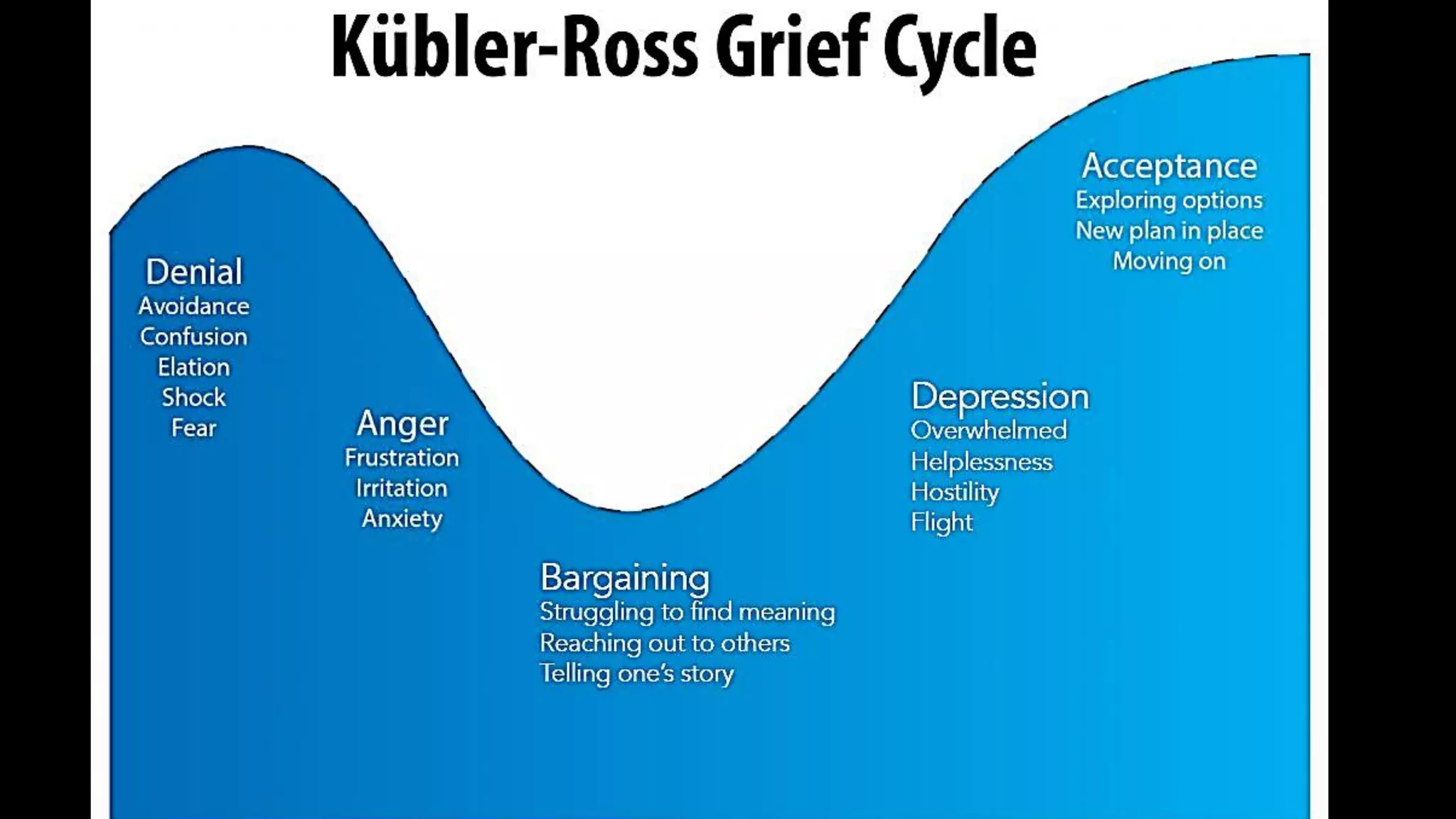 Philosophical Reflection from a Holistic Perspective | PDF