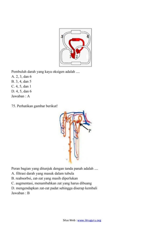 01. soal osn ipa smp 2019