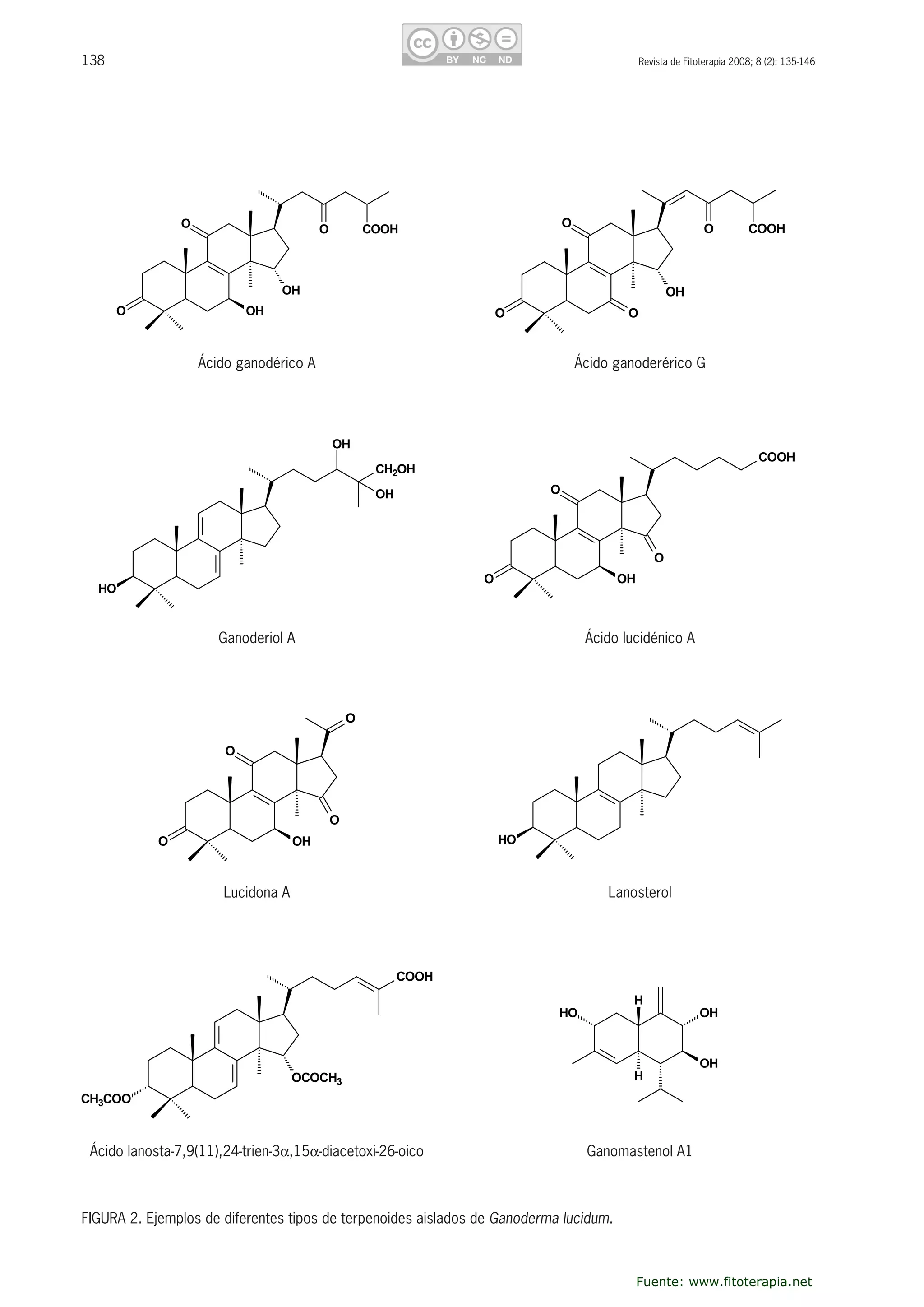 138 Revista de Fitoterapia 2008; 8 (2): 135-146
OH
COOHOO
OH
O
Ácido ganodérico A
O
OH
COOHOO
O
Ácido ganoderérico G
Ácido ganodérico A
CH2OH
HO
OH
OH
Ganoderiol A
OH
O
O
O
COOH
Ganoderiol A
OH
O
O
O
O
Lucidona A
Ácido lucidénico A
HO
Lanosterol
Lucidona A
COOH
CH3COO
OCOCH3
Acido lanosta-7,9(11),24-trien-3�,15�-diacetoxi-26-oico
OH
H
HO
H
OH
Ganomastenol A
Ácido ganodérico A Ácido ganoderérico G
Ganoderiol A Ácido lucidénico A
Lucidona A Lanosterol
Ácido lanosta-7,9(11),24-trien-3�,15�-diacetoxi-26-oico Ganomastenol A1
FIGURA 2. Ejemplos de diferentes tipos de terpenoides aislados de Ganoderma lucidum.
Fuente: www.fitoterapia.net
 