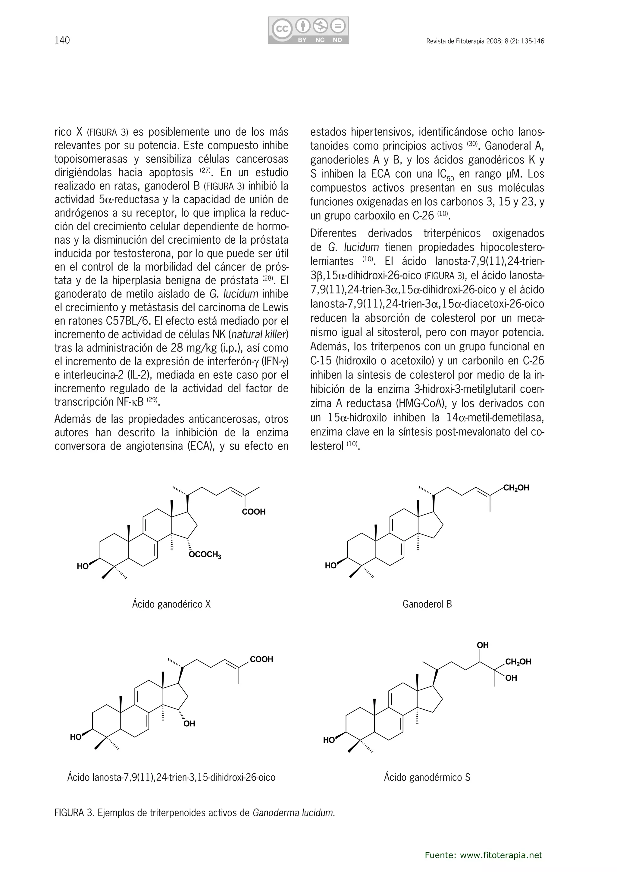 140 Revista de Fitoterapia 2008; 8 (2): 135-146
rico X (FIGURA 3) es posiblemente uno de los más 
relevantes por su potencia. Este compuesto inhibe 
topoisomerasas  y  sensibiliza  células  cancerosas 
dirigiéndolas  hacia  apoptosis  (27)
.  En  un  estudio 
realizado en ratas, ganoderol B (FIGURA 3) inhibió la 
actividad 5�-reductasa y la capacidad de unión de 
andrógenos a su receptor, lo que implica la reduc-
ción del crecimiento celular dependiente de hormo-
nas y la disminución del crecimiento de la próstata 
inducida por testosterona, por lo que puede ser útil 
en el control de la morbilidad del cáncer de prós-
tata y de la hiperplasia benigna de próstata (28)
. El 
ganoderato de metilo aislado de G. lucidum inhibe 
el crecimiento y metástasis del carcinoma de Lewis 
en ratones C57BL/6. El efecto está mediado por el 
incremento de actividad de células NK (natural killer) 
tras la administración de 28 mg/kg (i.p.), así como 
el incremento de la expresión de interferón-� (IFN-�) 
e interleucina-2 (IL-2), mediada en este caso por el 
incremento regulado de la actividad del factor de 
transcripción NF-�B (29)
.
Además de las propiedades anticancerosas, otros 
autores  han  descrito  la  inhibición  de  la  enzima 
conversora de angiotensina (ECA), y su efecto en 
estados hipertensivos, identificándose ocho lanos-
tanoides como principios activos (30)
. Ganoderal A, 
ganoderioles A y B, y los ácidos ganodéricos K y 
S  inhiben  la  ECA  con  una  IC50
  en  rango  µM.  Los 
compuestos  activos  presentan  en  sus  moléculas 
funciones oxigenadas en los carbonos 3, 15 y 23, y 
un grupo carboxilo en C-26 (10)
.
Diferentes  derivados  triterpénicos  oxigenados 
de  G.  lucidum  tienen  propiedades  hipocolestero-
lemiantes  (10)
.  El  ácido  lanosta-7,9(11),24-trien-
3�,15�-dihidroxi-26-oico (FIGURA 3), el ácido lanosta-
7,9(11),24-trien-3�,15�-dihidroxi-26-oico y el ácido 
lanosta-7,9(11),24-trien-3�,15�-diacetoxi-26-oico 
reducen  la  absorción  de  colesterol  por  un  meca-
nismo igual al sitosterol, pero con mayor potencia. 
Además, los triterpenos con un grupo funcional en 
C-15 (hidroxilo o acetoxilo) y un carbonilo en C-26 
inhiben la síntesis de colesterol por medio de la in-
hibición de la enzima 3-hidroxi-3-metilglutaril coen-
zima A reductasa (HMG-CoA), y los derivados con 
un  15�-hidroxilo  inhiben  la  14�-metil-demetilasa, 
enzima clave en la síntesis post-mevalonato del co-
lesterol (10)
. 
FIGURA 3. Ejemplos de triterpenoides activos de Ganoderma lucidum.
Ácido ganodérico X Ganoderol B
Ácido lanosta-7,9(11),24-trien-3,15-dihidroxi-26-oico Ácido ganodérmico S
HO
COOH
OCOCH3
�
HO
CH2OH
Ganoderol B
�cido ganodérico X
COOH
HO
OH
�
CH2OH
HO
OH
OH
Fuente: www.fitoterapia.net
 