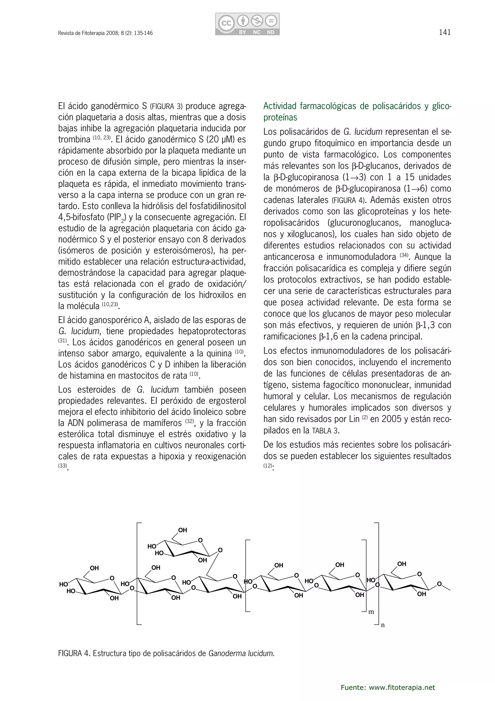 141Revista de Fitoterapia 2008; 8 (2): 135-146
El ácido ganodérmico S (FIGURA 3) produce agrega-
ción plaquetaria a dosis altas, mientras que a dosis 
bajas inhibe la agregación plaquetaria inducida por 
trombina (10, 23)
. El ácido ganodérmico S (20 µM) es 
rápidamente absorbido por la plaqueta mediante un 
proceso de difusión simple, pero mientras la inser-
ción en la capa externa de la bicapa lipídica de la 
plaqueta es rápida, el inmediato movimiento trans-
verso a la capa interna se produce con un gran re-
tardo. Esto conlleva la hidrólisis del fosfatidilinositol 
4,5-bifosfato (PIP2
) y la consecuente agregación. El 
estudio de la agregación plaquetaria con ácido ga-
nodérmico S y el posterior ensayo con 8 derivados 
(isómeros  de  posición  y  esteroisómeros),  ha  per-
mitido establecer una relación estructura-actividad, 
demostrándose la capacidad para agregar plaque-
tas  está  relacionada  con  el  grado  de  oxidación/
sustitución y la configuración de los hidroxilos en 
la molécula (10,23)
.
El ácido ganosporérico A, aislado de las esporas de 
G.  lucidum,  tiene  propiedades  hepatoprotectoras 
(31)
. Los ácidos ganodéricos en general poseen un 
intenso sabor amargo, equivalente a la quinina (10)
. 
Los ácidos ganodéricos C y D inhiben la liberación 
de histamina en mastocitos de rata (10)
. 
Los  esteroides  de  G.  lucidum  también  poseen 
propiedades relevantes. El peróxido de ergosterol 
mejora el efecto inhibitorio del ácido linoleico sobre 
la ADN polimerasa de mamíferos (32)
, y la fracción 
esterólica  total  disminuye  el  estrés  oxidativo  y  la 
respuesta inflamatoria en cultivos neuronales corti-
cales de rata expuestas a hipoxia y reoxigenación 
(33)
. 
Actividad farmacológicas de polisacáridos y glico-
proteínas
Los polisacáridos de G. lucidum representan el se-
gundo grupo fitoquímico en importancia desde un 
punto  de  vista  farmacológico.  Los  componentes 
más relevantes son los �-D-glucanos, derivados de 
la  �-D-glucopiranosa  (1�3)  con  1  a  15  unidades 
de monómeros de �-D-glucopiranosa (1�6) como 
cadenas laterales (FIGURA 4). Además existen otros 
derivados como son las glicoproteínas y los hete-
ropolisacáridos  (glucuronoglucanos,  manogluca-
nos y xiloglucanos), los cuales han sido objeto de 
diferentes  estudios  relacionados  con  su  actividad 
anticancerosa e inmunomoduladora (34)
. Aunque la 
fracción polisacarídica es compleja y difiere según 
los protocolos extractivos, se han podido estable-
cer una serie de características estructurales para 
que  posea  actividad  relevante.  De  esta  forma  se 
conoce que los glucanos de mayor peso molecular 
son más efectivos, y requieren de unión �-1,3 con 
ramificaciones �-1,6 en la cadena principal. 
Los efectos inmunomoduladores de los polisacári-
dos son bien conocidos, incluyendo el incremento 
de  las  funciones  de  células  presentadoras  de  an-
tígeno, sistema fagocítico mononuclear, inmunidad 
humoral y celular. Los mecanismos de regulación 
celulares  y  humorales  implicados  son  diversos  y 
han sido revisados por Lin (2)
 en 2005 y están reco-
pilados en la TABLA 3. 
De los estudios más recientes sobre los polisacári-
dos se pueden establecer los siguientes resultados 
(12)
: 
O
HO
HO
OH
O
OH
O
HO
OH
O
OH
O
HO
OH
O
O
HO
HO
OH
O
OH
O
HO
OH
O
OH
O
HO
OH
O
OH
O
HO
OH
O
OH
n
m
FIGURA 4. Estructura tipo de polisacáridos de Ganoderma lucidum.
Fuente: www.fitoterapia.net
 