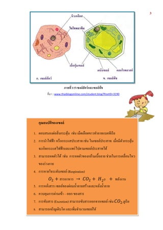 3

ภาพที่ 1-5 ๶ซลล์ สัตว์ และ๶ซลล์ พืช
ที่มา : www.thaiblogomline.com/student.blog?PostID=3190

คุณสมบัติของ๶ซลล์
1. ตอบสนองต่อสิ่ งกระตุน เช่น เม็ดเลือดขาวทาลายแบคทีเรี ย
้
2. การนาไฟฟ้ า หรื อกระแสประสาท เช่น ใน๶ซลล์ประสาท เมื่อมีตวกระตุน
ั
้
จะเกิดกระแสไฟฟ้ าและแพร่ ไปตาม๶ซลล์ประสาทได้
3. สามารถหดตัวได้ เช่น การหดตัวของกล้ามเนื้อลาย ช่วยในการเคลื่อนไหว
ของร่ างกาย
4. การหายใจระดับ๶ซลล์ (Respiration)
𝑂2 + สารอาหาร → 𝐶𝑂2 + 𝐻2 𝑂 + พลังงาน
5. การหลังสาร ๶ซลล์ของต่อมน้ าลายสร้างและหลังน้ าลาย
่
่
6. ควบคุมการผ่านเข้า – ออก ของสาร
7. การขับสาร (Excretion) สามารถขับสารออกจาก๶ซลล์ เช่น 𝐶𝑂2 ,ยูเรี ย
8. สามารถเจริ ญเติบโต และเพิ่มจานวน๶ซลล์ได้

 