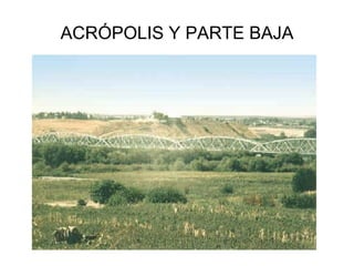 ACRÓPOLIS Y PARTE BAJA
 