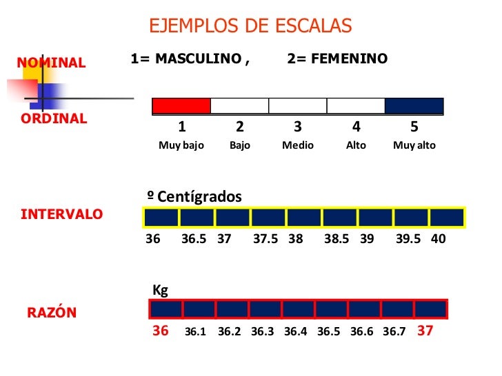 01.2. variables medicion